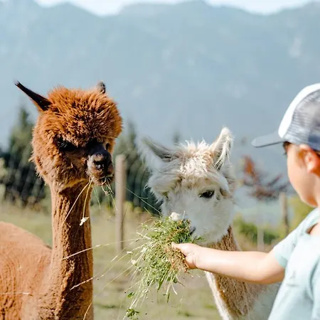 Natur- Und Wellnesshotel Höflehner Haus im Ennstal