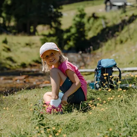 Natur- Und Wellnesshotel Höflehner Hotel