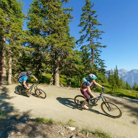 فندق Natur- Und Wellnesshotel Hoeflehner 4*