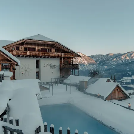 Natur- Und Wellnesshotel Hoeflehner 4* Haus im Ennstal