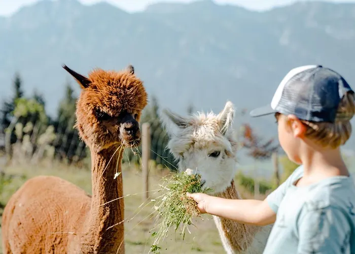 Natur- Und Wellnesshotel Hoeflehner Haus im Ennstal