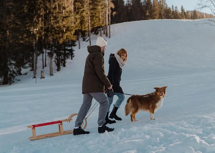 酒店 霍夫莱纳健康大自然酒店
