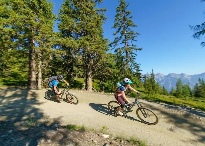 فندق Natur- Und Wellnesshotel Hoeflehner 4*