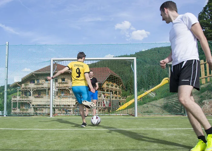 霍夫莱纳健康大自然酒店 4* 恩斯塔尔豪斯