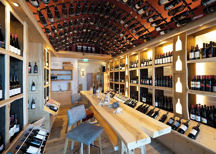 霍夫莱纳健康大自然酒店 酒店 恩斯塔尔豪斯